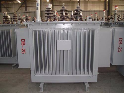 鹤壁S13-100KVA/10KV/0.4KV油浸式变压器